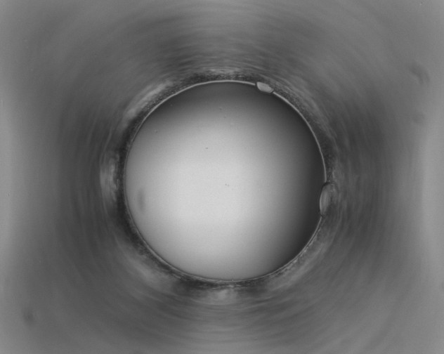 X0000115840116200911131539