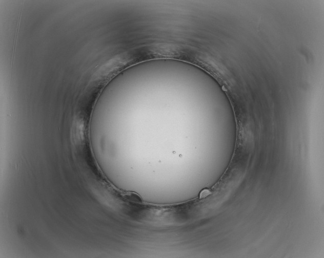 X0000115840117200911131539