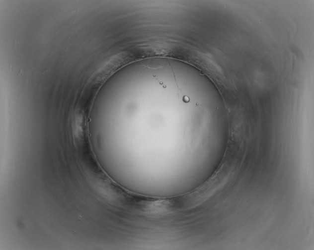 X0000115840122200911131539