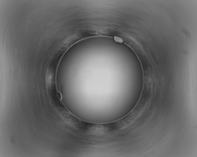 X0000115840123200911131539