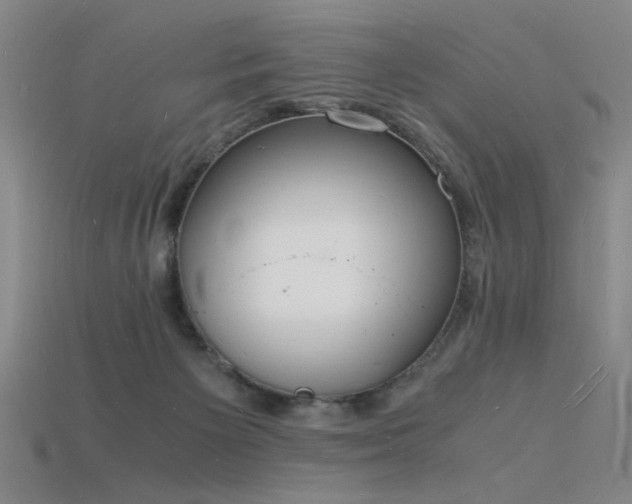 X0000115840125200911131539