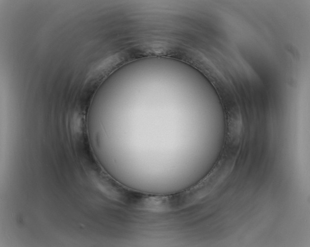 X0000115840126200911131539