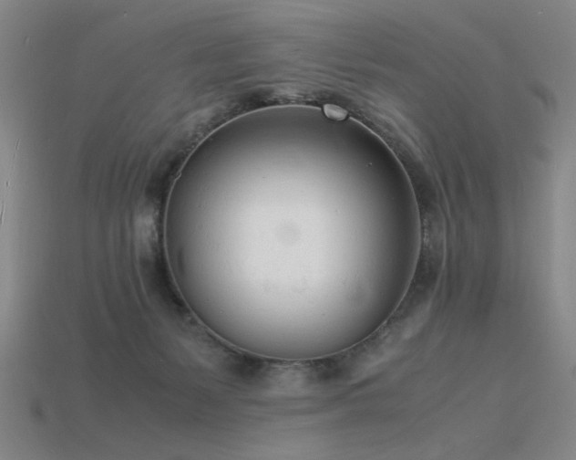 X0000115840127200911131539