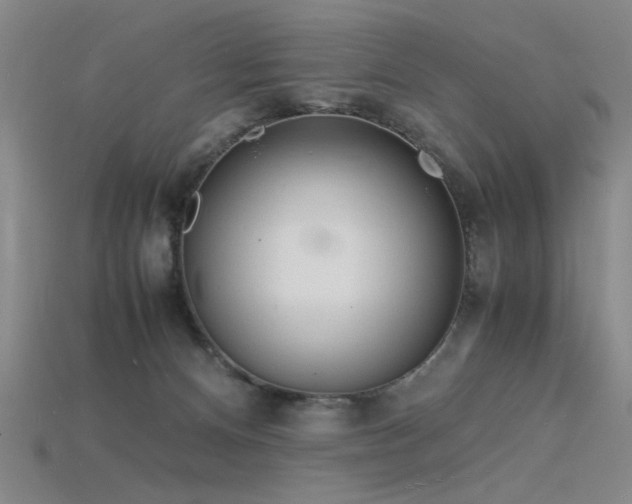 X0000115840128200911131539