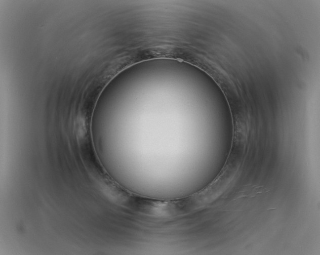 X0000115840130200911131539