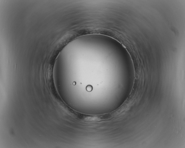 X0000115840133200911131539