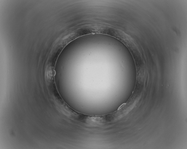 X0000115840137200911131538