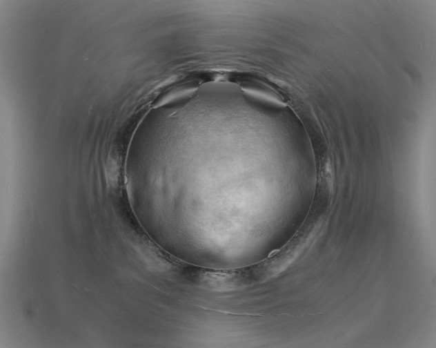X0000115840139200911131538