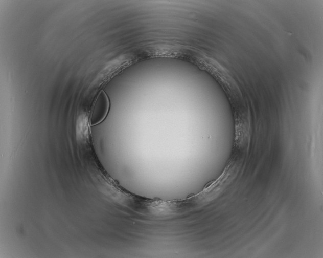 X0000115840142200911131538
