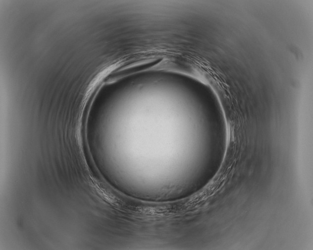 X0000115840147200911131538