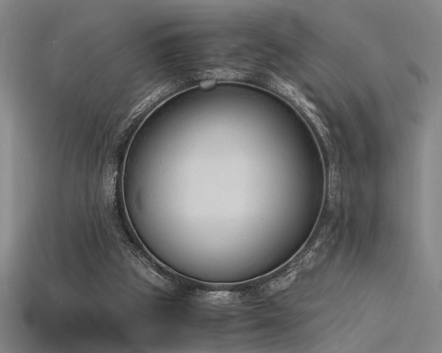 X0000115840153200911131538