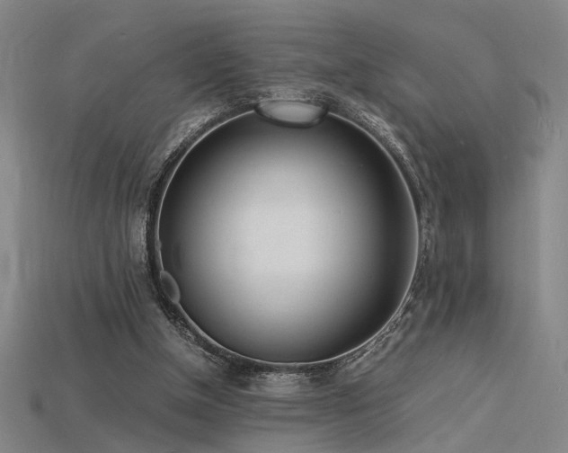 X0000115840154200911131538