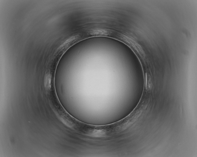 X0000115840157200911131538