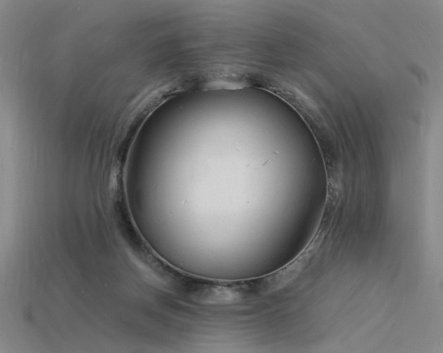 X0000115840166200911131538
