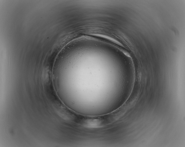 X0000115840169200911131538