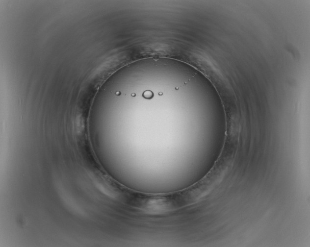 X0000115840173200911131538