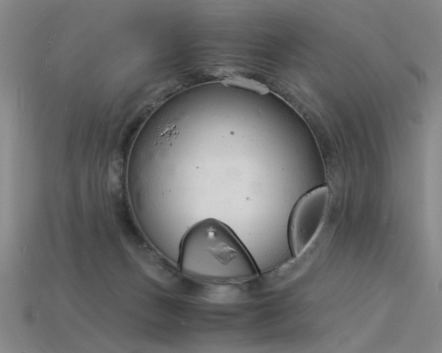 X0000115840175200911131538