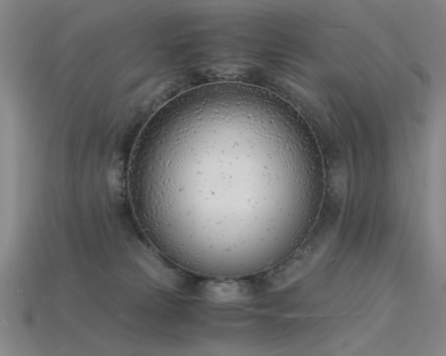 X0000115840181200911131538