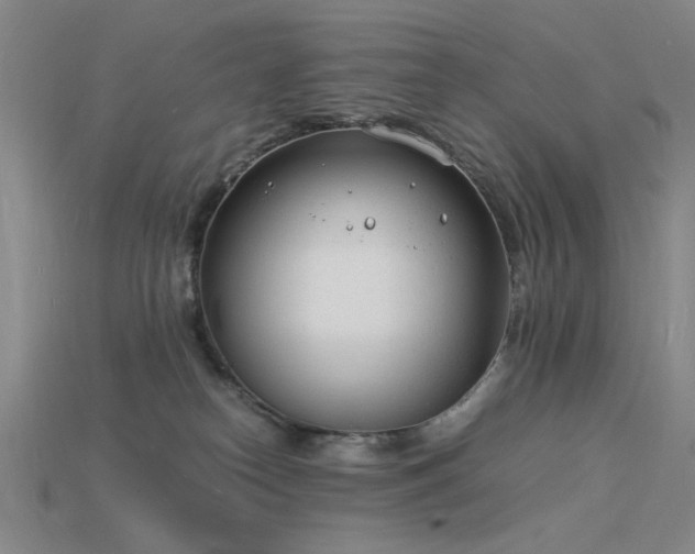 X0000115840182200911131538