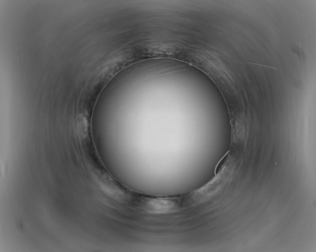 X0000115840183200911131538