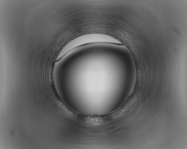 X0000115840185200911131538