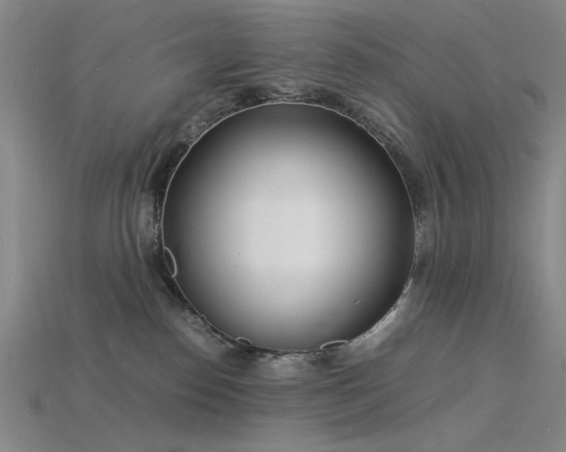 X0000115840186200911131538