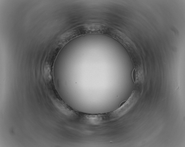 X0000115840187200911131538
