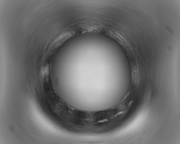 X0000115840191200911131538