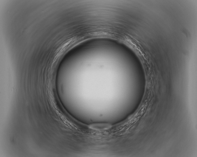 X0000115840193200911131538