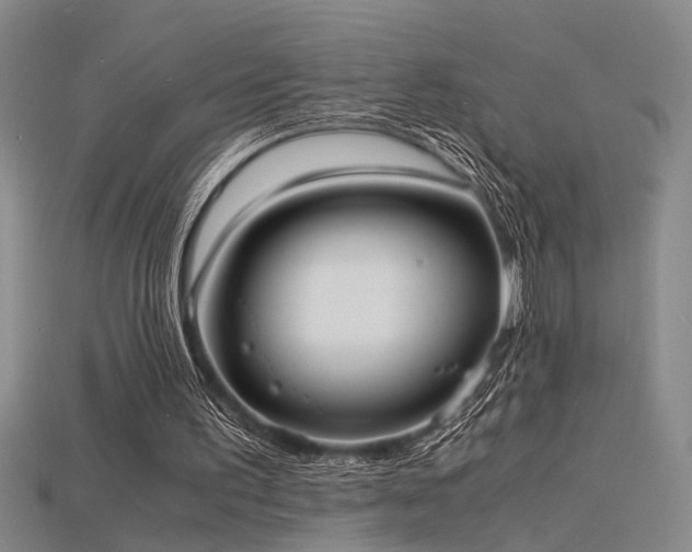 X0000115840195200911131538