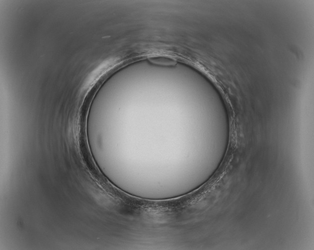 X0000115840199200911131538