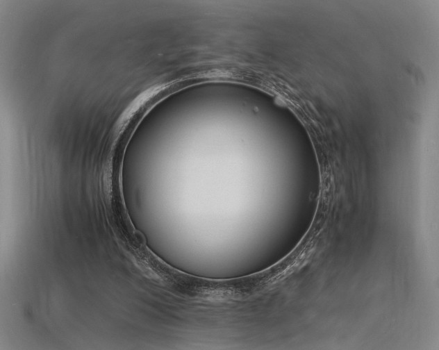 X0000115840200200911131538