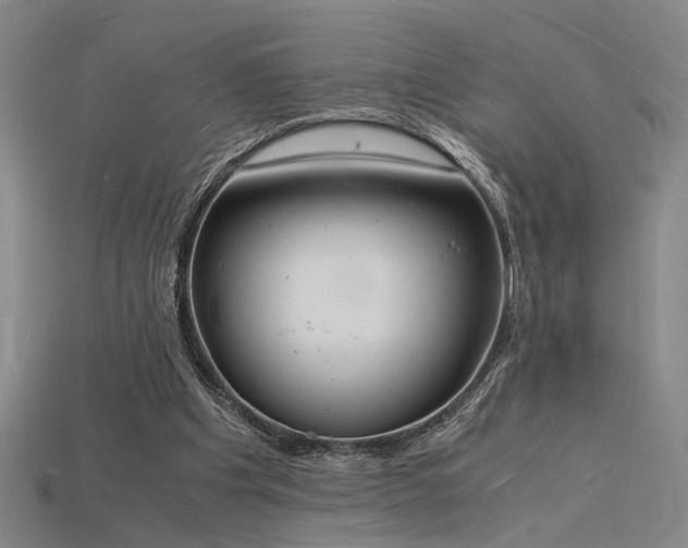 X0000115840201200911131538