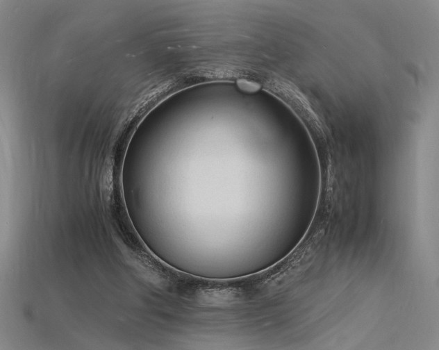 X0000115840202200911131538