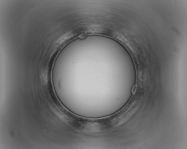X0000115840203200911131538