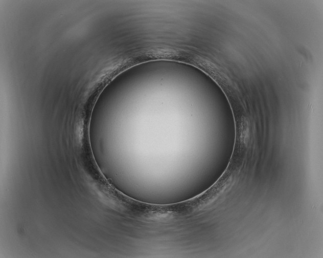 X0000115840206200911131538