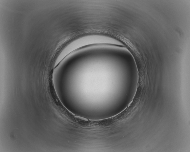 X0000115840207200911131538