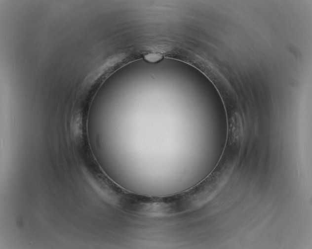X0000115840212200911131538