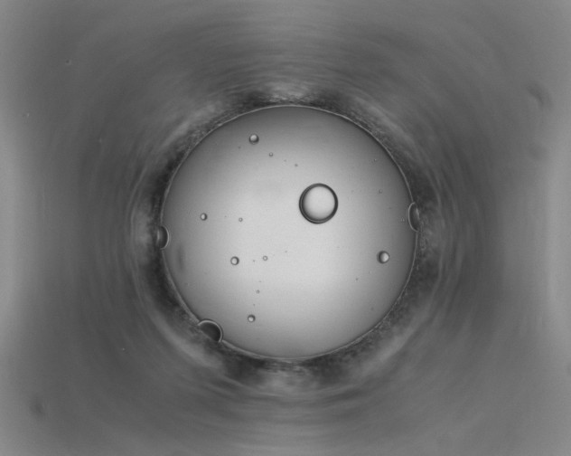 X0000115840215200911131537