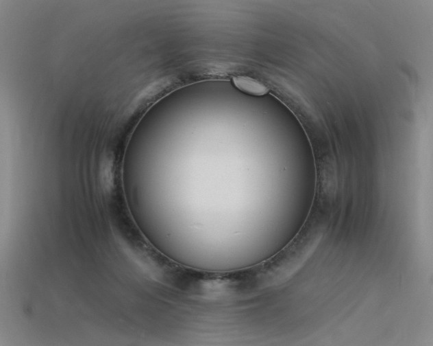 X0000115840216200911131537