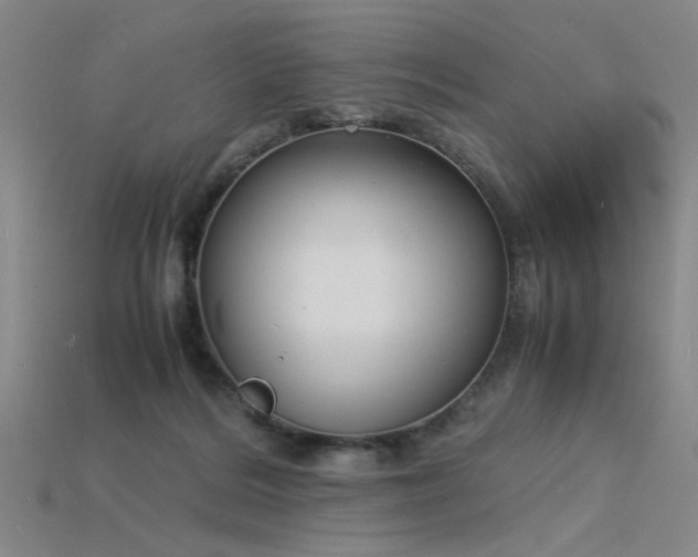 X0000115840220200911131537