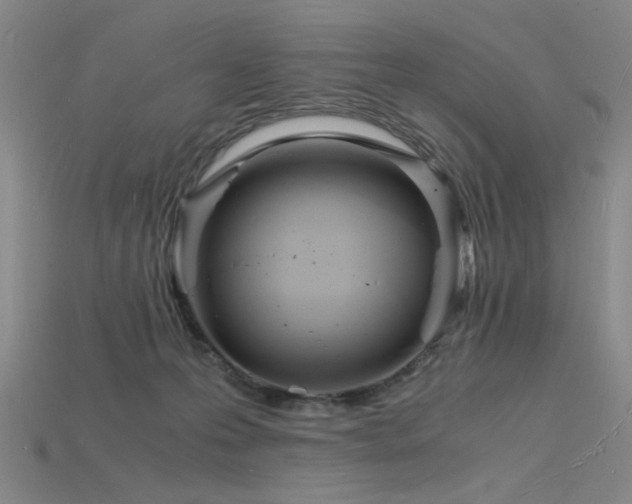 X0000115840223200911131537