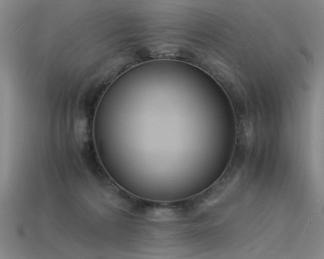 X0000115840224200911131537