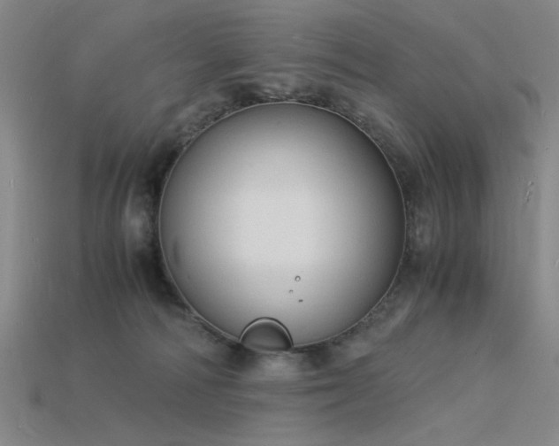 X0000115840226200911131537