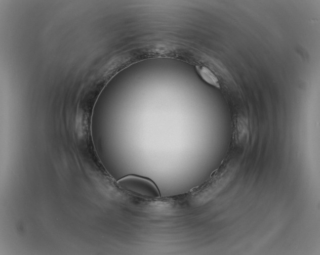 X0000115840236200911131537