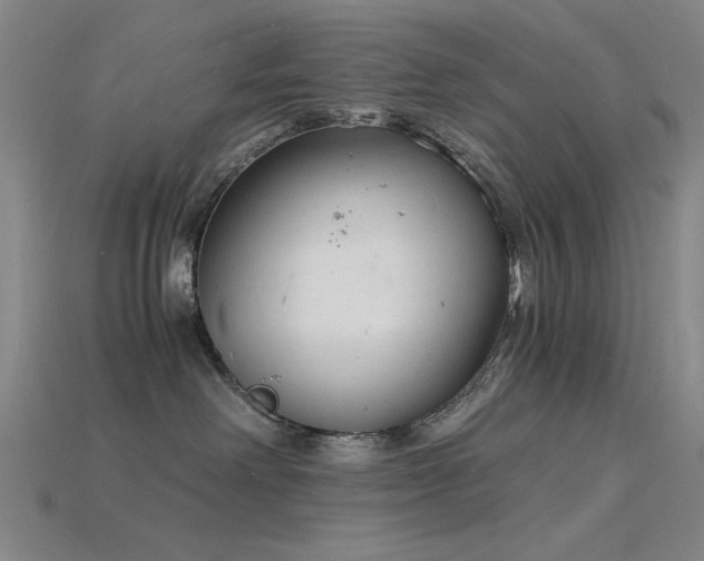 X0000115840238200911131537