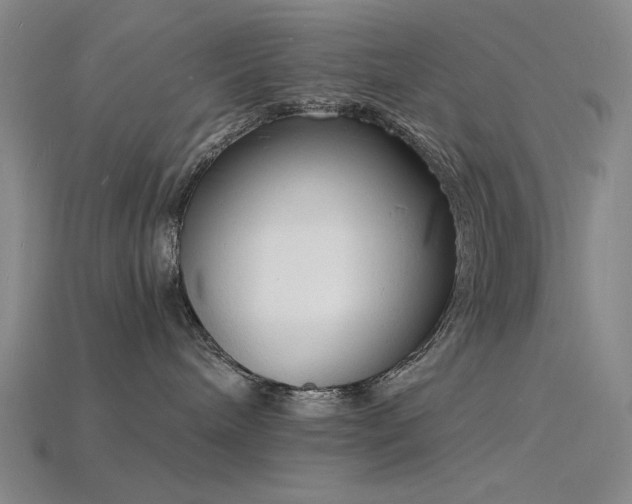 X0000115840240200911131537