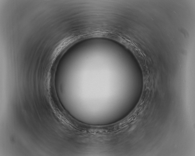 X0000115840242200911131537