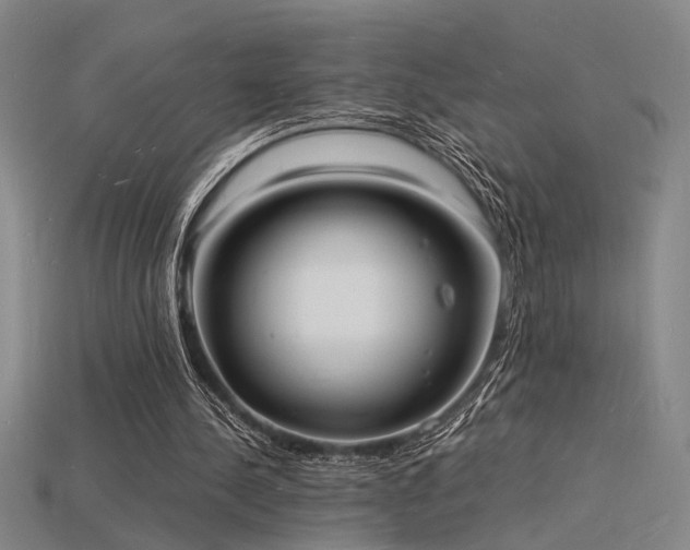 X0000115840244200911131537