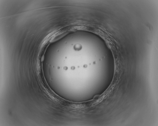 X0000115840245200911131537